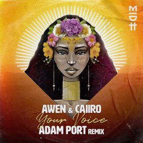Caiiro, Awen - Your Voice (Adam Port Remix) [Madorasindahouse Records]