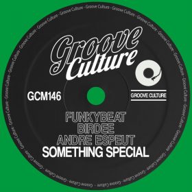 FUNKYBEAT, Birdee, Andre Espeut - Something Special [Groove Culture]