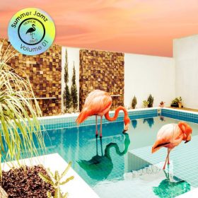 Various Artists - Summer Jamz Volume 1 [Tropical Disco Records]