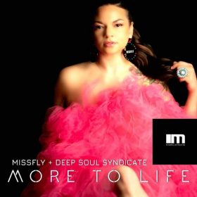 MissFly, Deep Soul Syndicate - More To Life [MoreHouse]