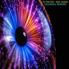 Snoh Aalegra - In Your Eyes (CalvINSOL Rework) [bandcamp]