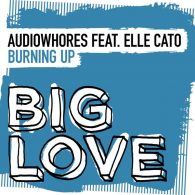 Audiowhores, Elle Cato - Burning Up [Big Love]
