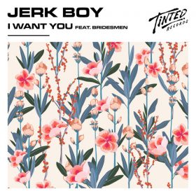 Jerk Boy, Bridesmen - I Want You [Tinted Records]