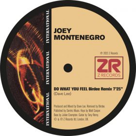 Joey Montenegro, Dave Lee ZR - Do What You Feel (Birdee Remix) [Z Records]