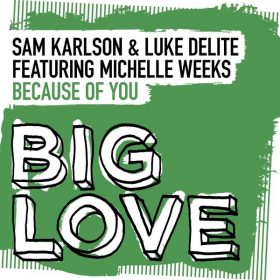 Sam Karlson, Luke Delite, Michelle Weeks - Because Of You [Big Love]