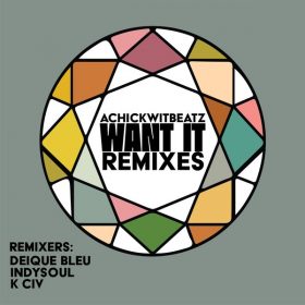 Achickwitbeatz - Want It Remixes [Nylon Trax]