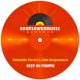 Antonello Ferrari and Aldo Bergamasco - Keep On Pumpin [Sunflowermusic Records]