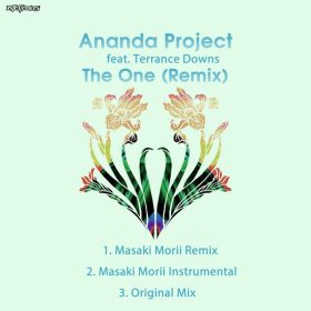 Ananda Project, Terrance Downs - The One (Remix) [Nite Grooves]