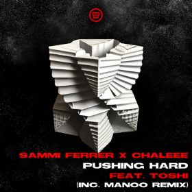 Sammi Ferrer, Chaleee, Toshi - Pushing Hard [Kazukuta Records]