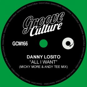 Danny Losito - All I Want (Micky More & Andy Tee Mix) [Groove Culture]
