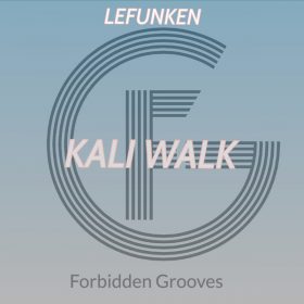 Lefunken - Kali Walk [Forbidden Grooves]