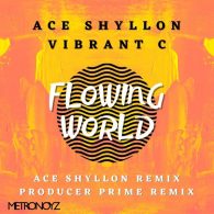Ace Shyllon - Flowing World [Metronoyz]
