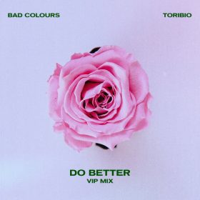 Bad Colours & Toribio - Do Better [VIP Mix] [Bastard Jazz Recordings]