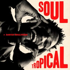 David Walters - Soul Tropical [Heavenly Sweetness]