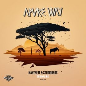 Manybeat, Studio Bros - Apure Way (Original Mix) [Powerbeat]