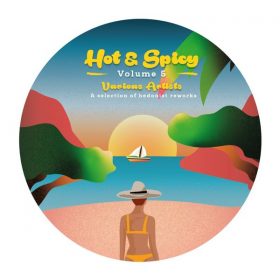 Various Artists - Hot N Spicy, Vol. 5 [Hot N Spicy]