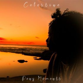 Celestine, The Rurals, Andy Compton - Peng Moments [Peng]