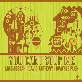 Madmoosah - You Can't Stop Me [Planet Hum]