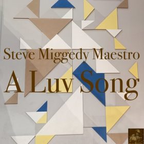 Steve Miggedy Maestro - A Luv Song [Miggedy Entertainment]