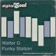 Walter G - Funky Station [Digitalsoul]