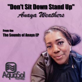 Anaya Weathers, Big Logan, DAVID LALLA - Don't Sit Down Stand Up [Aqua Sol]