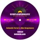 Antonello Ferrari, Aldo Bergamasco - Boogie Wonderland [Sunflowermusic Records]