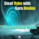 Chris Forman, Damon Bennett, Sara Devine - Wonderfully Made [Steal Vybe]