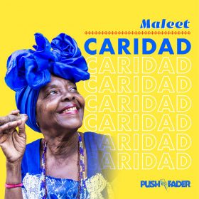 Maleet - Caridad [Push the Fader]