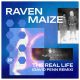 Raven Maize, Dave Lee ZR - The Real Life (David Penn Remix) [Z Records]