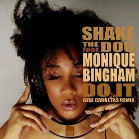 Shake the Dog feat.Monique Bingham - Do It Remix [Son Liva]