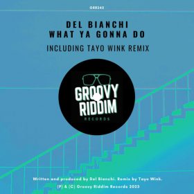 Del Bianchi - What Ya Gonna Do (Incl. Tayo Wink Remix) [Groovy Riddim Records]