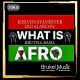 Kelvin Sylvester, Leo Alarcon, Brutha Basil - What Is AFRO [Brukel Music]