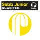 Sebb Junior - Sound Of Life [Papa Records]