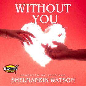 Shelmaneik Watson - Without You [DSharp Records]