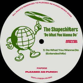 The Shapeshifters - Do What You Wanna Do [Pleased As Punch]