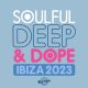 Various Artists - Soulful Deep & Dope Ibiza 2023 [Reel People Music]