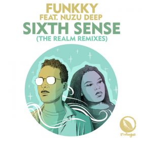 Funkky feat. Nuzu - Deep Sixth Sense (The Realm Remixes) [Foliage Records]