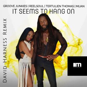 Groove Junkies, Reelsoul - It Seems To Hang On (David Harness Remixes) [MoreHouse]