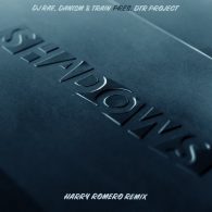 DJ Rae, Danism, DTR Project, Train (UK) - Shadows (Remix) [SoSure Music]