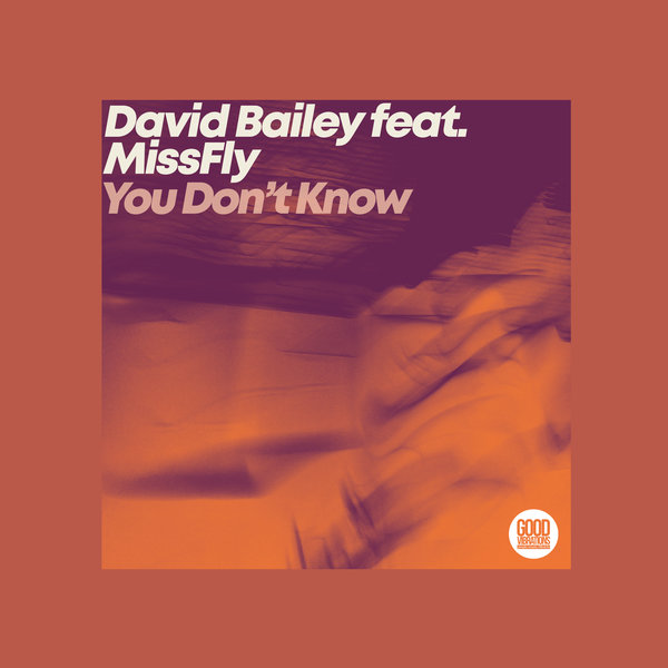 David Bailey, MissFly - You Don't Know [Good Vibrations Music]