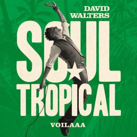 David Walters - Soul Tropical [Heavenly Sweetness]