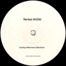 Various - Sunday Afternoon Selections [Dung Beetle Records]