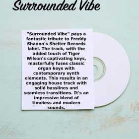 Johnny Jm - Surrounded Vibe [bandcamp]