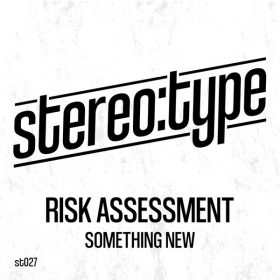 Risk Assessment - SOMETHING NEW [Stereo-type]