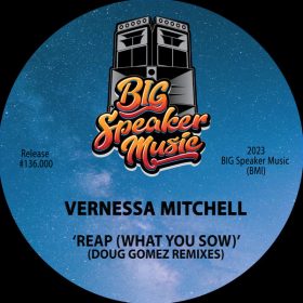Vernessa Mitchell - Reap (What You Sow) (Doug Gomez Remixes) [Big Speaker Music]