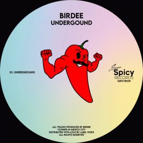 Birdee - Undergound [Super Spicy Records]