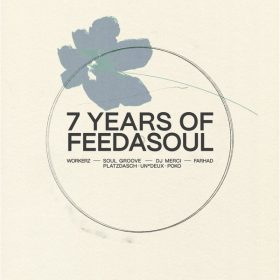 Various Artists - 7 Years of Feedasoul [Feedasoul Records]