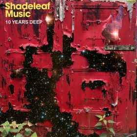 Various Artists - Ten Years Deep [Shadeleaf]