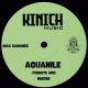 Max Sanchez - Aguanile [KINICH music]