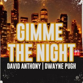 David Anthony, Dwayne Pugh - Gimme The Night [Planet Hum]
